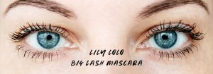 Lily Lolo Big LAsh Organic Vegan Mascara